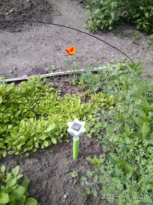 Фотография покупателя товара Садовый светильник на солнечной батарее «Цветок зелёный», 6 × 29 × 6 см, 1 LED, свечение белое - Фото 2