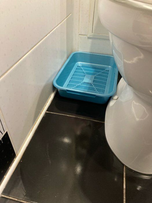 Фотография покупателя товара Туалет перламутровый средний с сеткой 36 х 26 х 6,5 см голубой