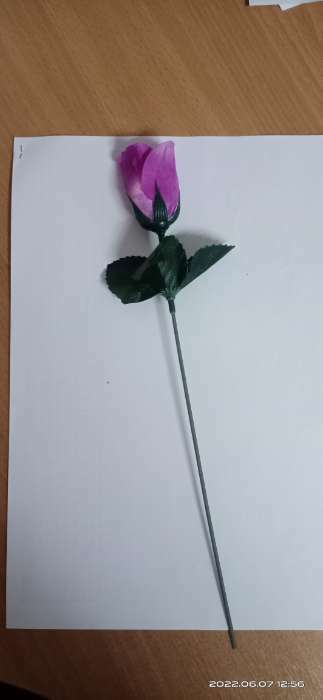 Фотография покупателя товара Цветы искусственные "Роза" 23 см, сиреневый - Фото 6