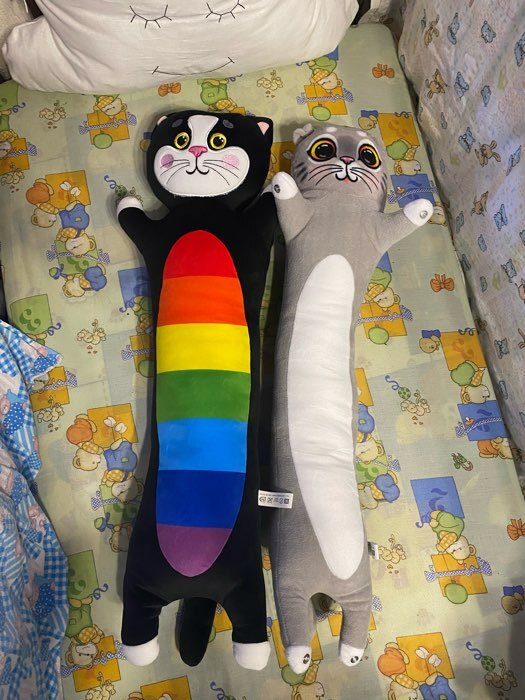 Фотография покупателя товара Мягкая игрушка «Кот длинный», 70 см - Фото 1