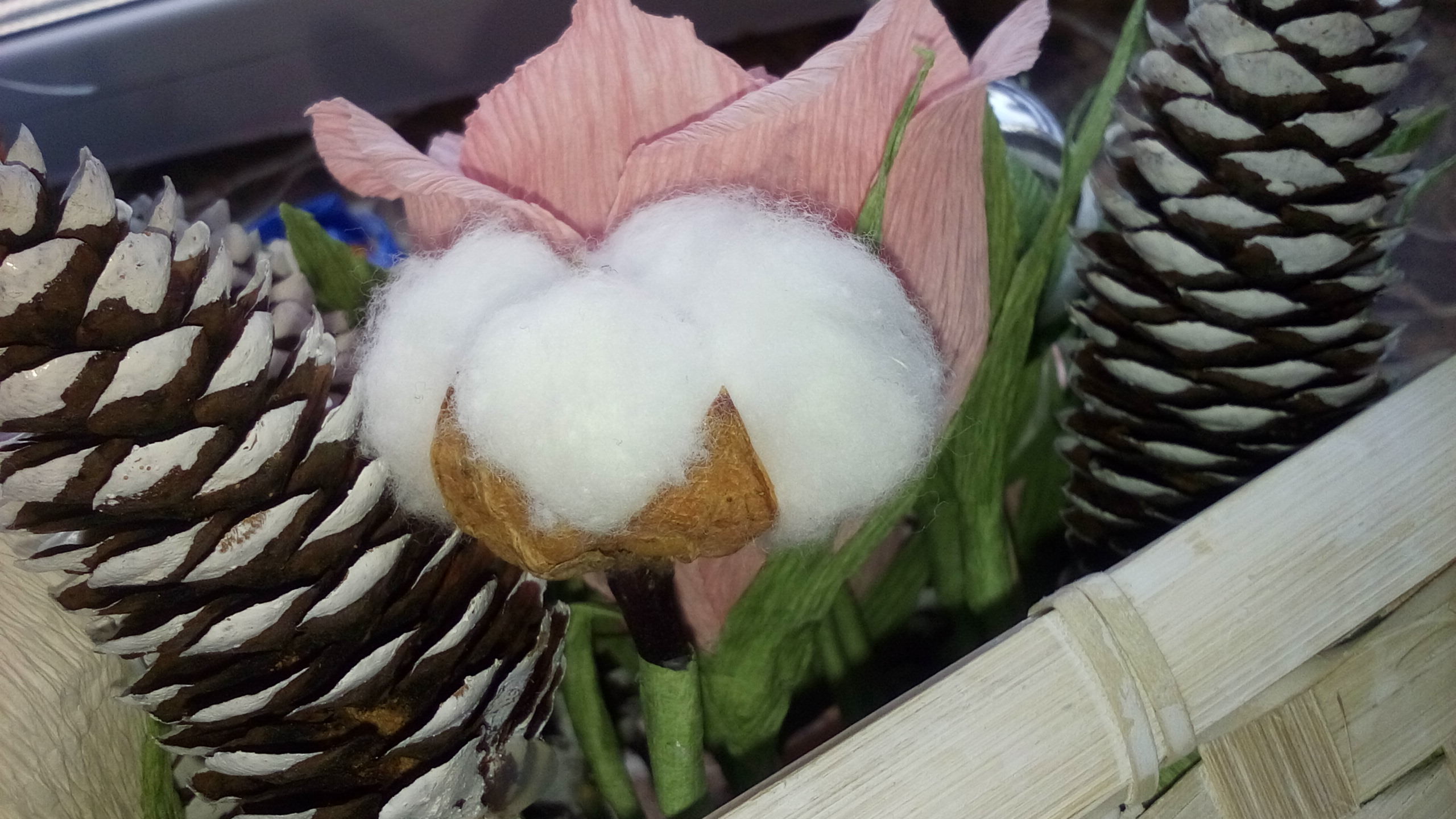 Фотография покупателя товара Сухие цветы кунжута, 30 г, цвет натуральный