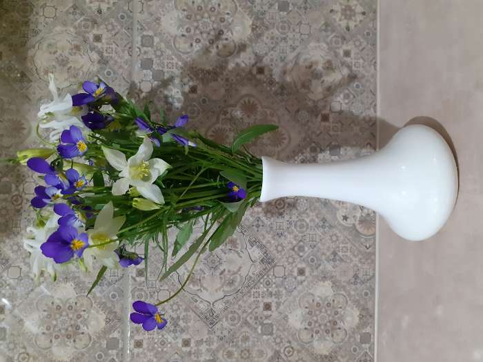 Фотография покупателя товара Ваза фарфоровая для цветов Wilmax, 9,5×14,5 см, цвет белый