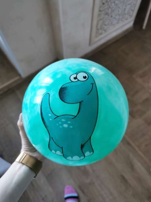 Фотография покупателя товара Мяч детский «Динозаврики», d=25 см, 60 г, цвет МИКС - Фото 1