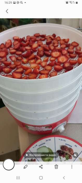 Фотография покупателя товара Сушилка для овощей и фруктов "Чудесница" СШ-006, 520 Вт, 5 ярусов, красно-белая
