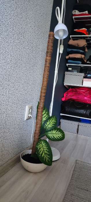 Фотография покупателя товара Колышек для подвязки растений, h = 100 см, d = 2,5 см, кокос, Greengo - Фото 2