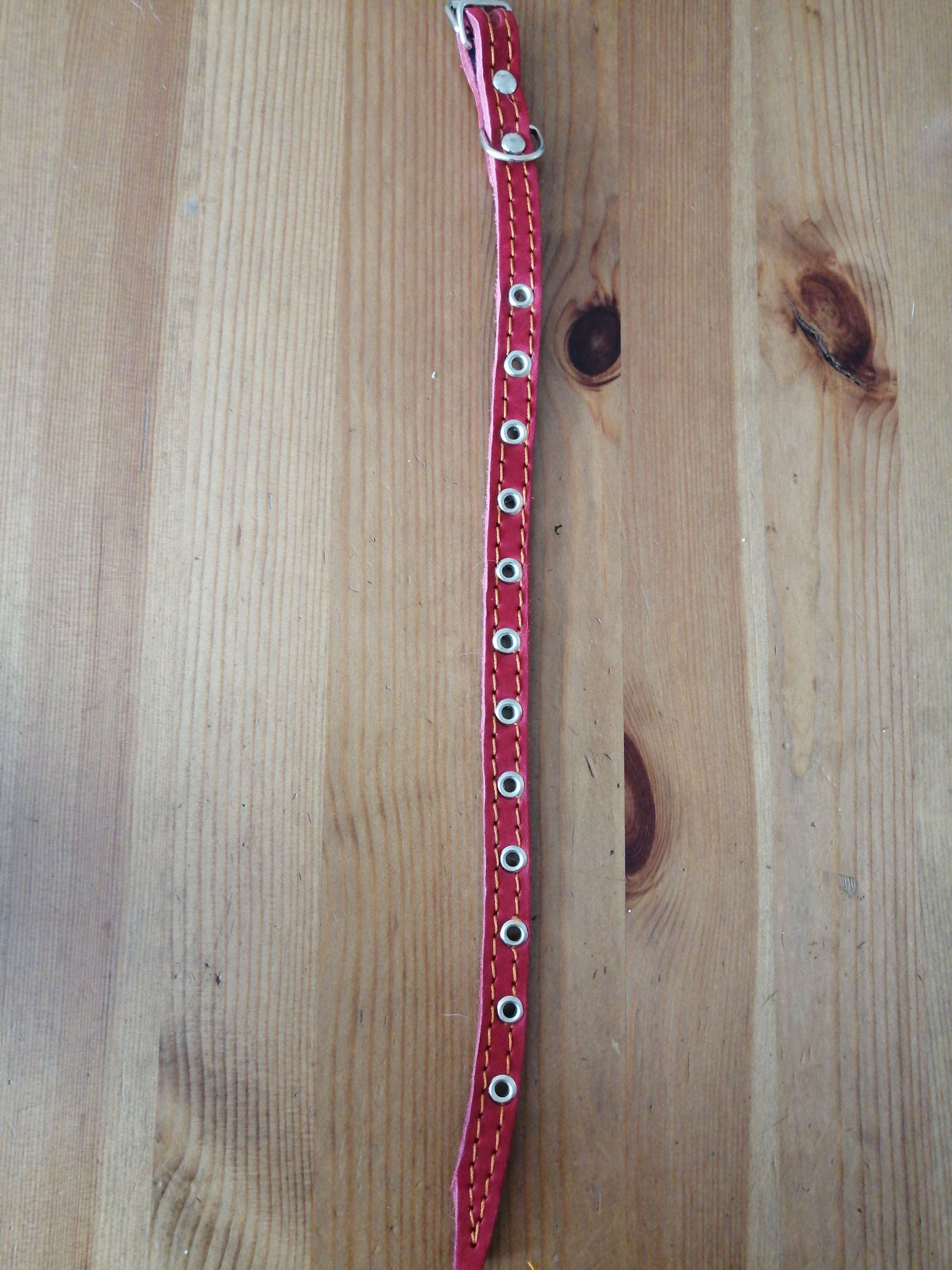 Фотография покупателя товара Ошейник кожаный на синтепоне, безразмерный, 37 х 1,5 см, ОШ 21-31 см, красный - Фото 1