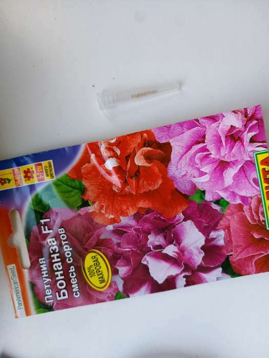 Фотография покупателя товара Семена цветов Петуния Бонанза F1, обильноцветущая махровая, смесь окрасок, 10 шт - Фото 1