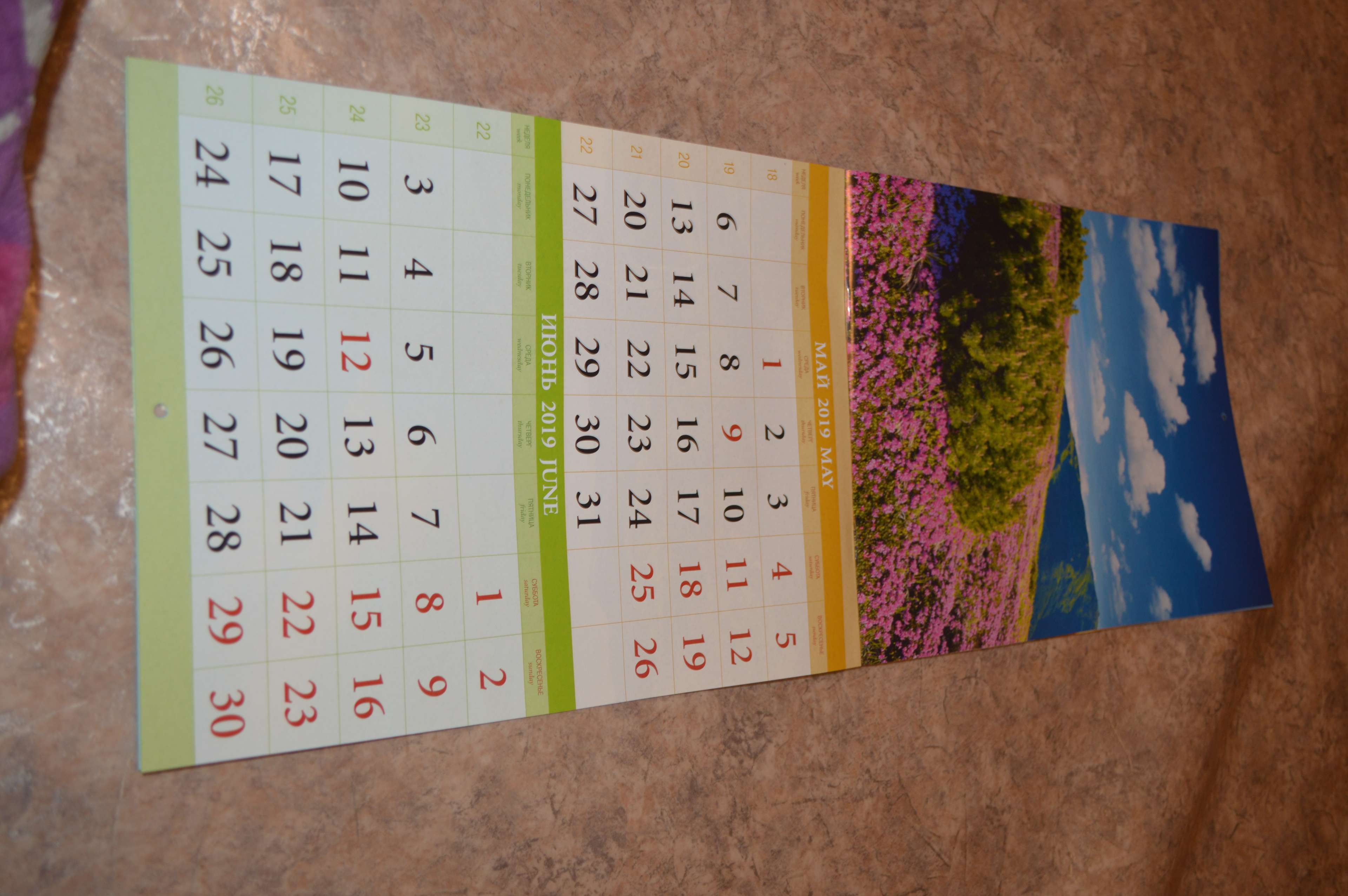 Фотография покупателя товара Календарь на скрепке "Времена года" 2019 год, 21,5х29,5см - Фото 1