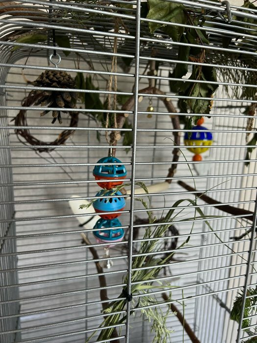 Фотография покупателя товара Игрушка для попугая "Забава" с 3 шариками, микс - Фото 2