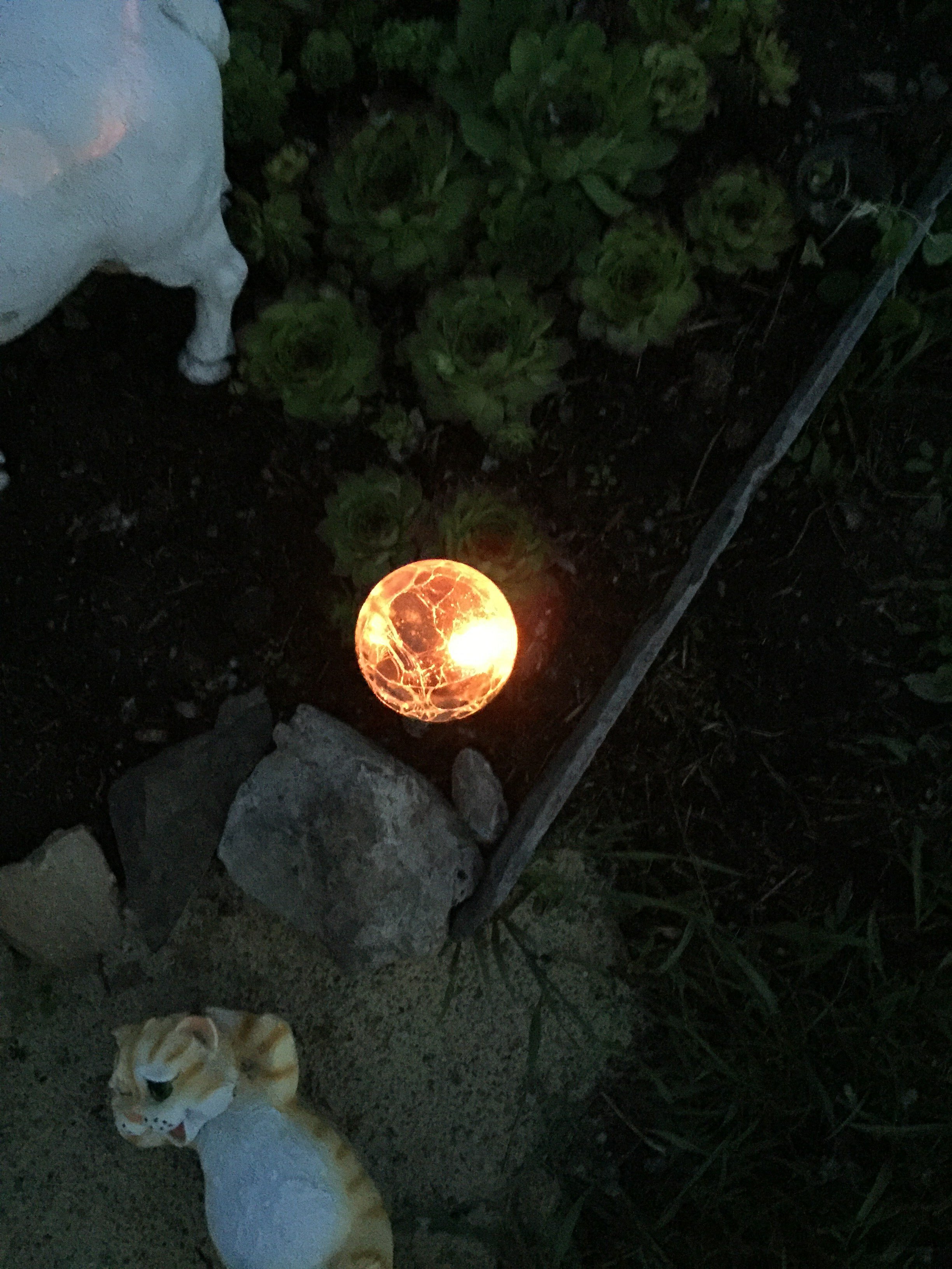 Фотография покупателя товара Садовый светильник на солнечной батарее «Стеклянный шар», 6 × 36.5 × 6 см, 1 LED, свечение мульти (RGB) - Фото 3