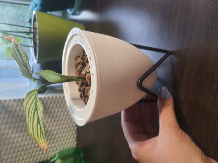 Фотография покупателя товара Кашпо с подставкой «Акцент», 11,2×11×12,5 см, цвет белый - Фото 5