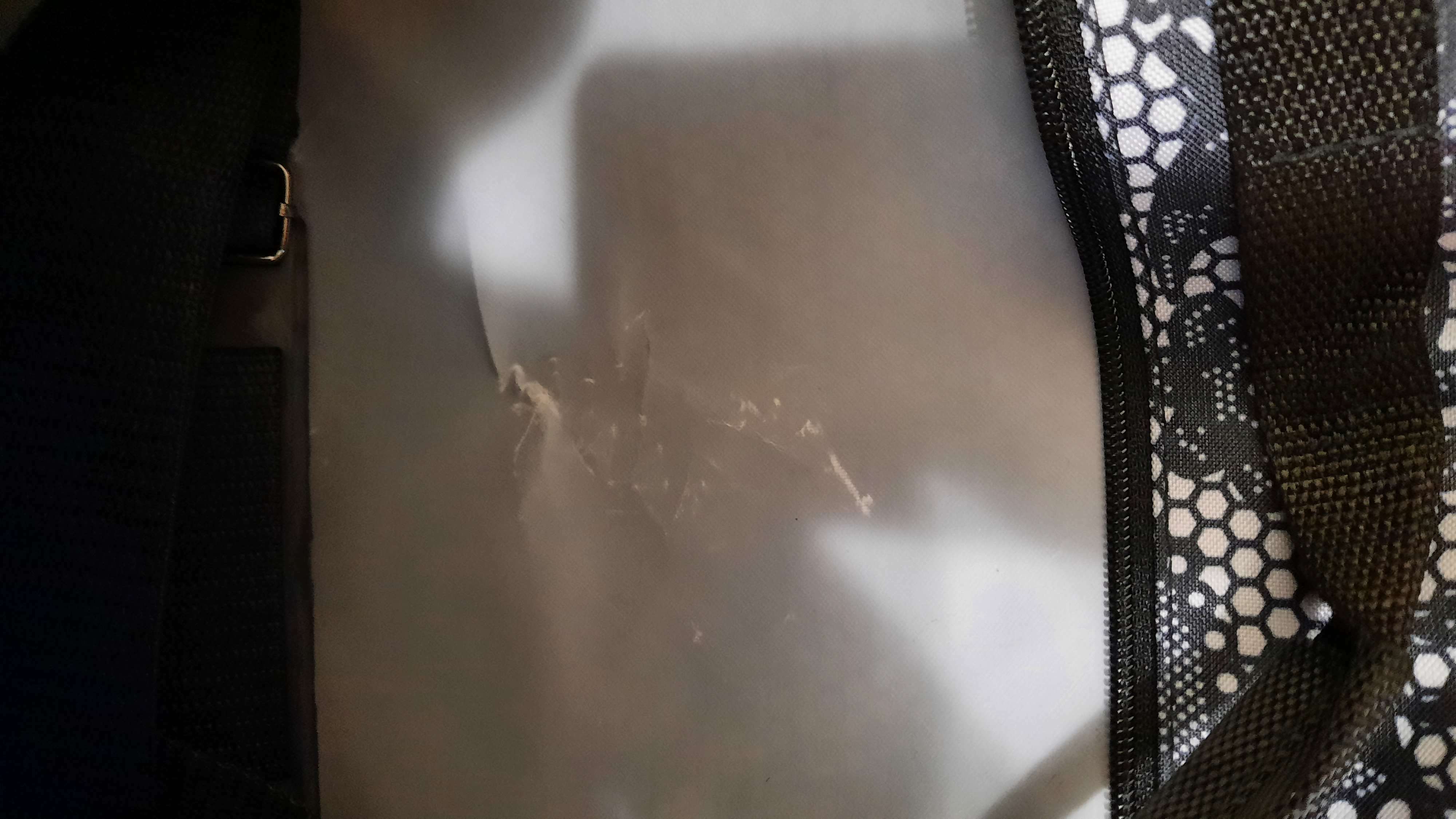 Фотография покупателя товара Сумка дорожная на молнии, наружный карман, длинный ремень, цвет серый - Фото 3