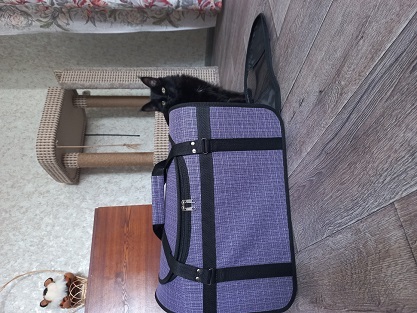 Фотография покупателя товара Сумка - переноска для животных, с люком, 49 х 30 х 35 см, микс цветов - Фото 5