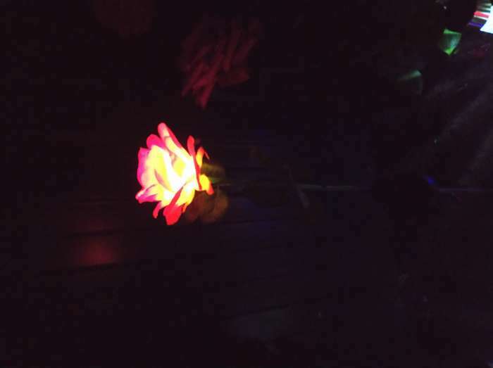 Фотография покупателя товара Садовый светильник на солнечной батарее «Роза красная», 75 см, 5 LED, свечение белое - Фото 2