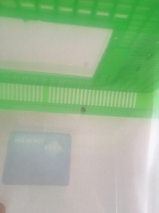 Фотография покупателя товара Переноска прямоугольная, 26,5 х 16,5 х 17 см, зелёный - Фото 5