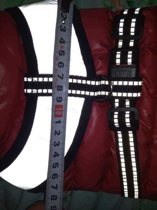 Фотография покупателя товара Куртка для собак со светоотражающей шлейкой, размер 18 (ДС 40, ОГ 50, ОШ 38),красная - Фото 3
