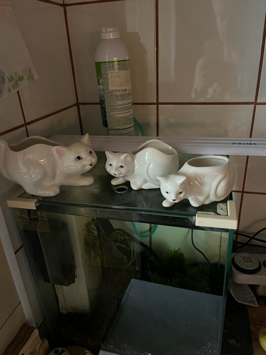 Фотография покупателя товара Декоративный горшок для цветов «Кошка», 450 мл, 15.4×8.1×8 см, керамический, белый - Фото 7