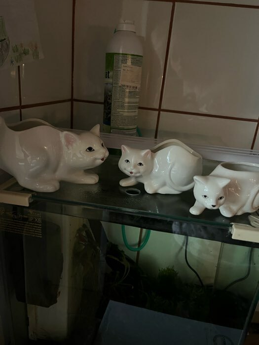 Фотография покупателя товара Декоративный горшок для цветов «Кошка», 450 мл, 15.4×8.1×8 см, керамический, белый - Фото 6