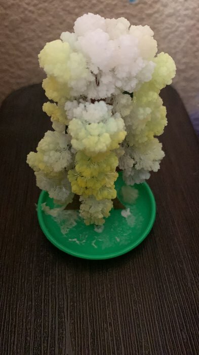 Фотография покупателя товара Набор для выращивания кристалла «Волшебное дерево» цвет белый - Фото 9