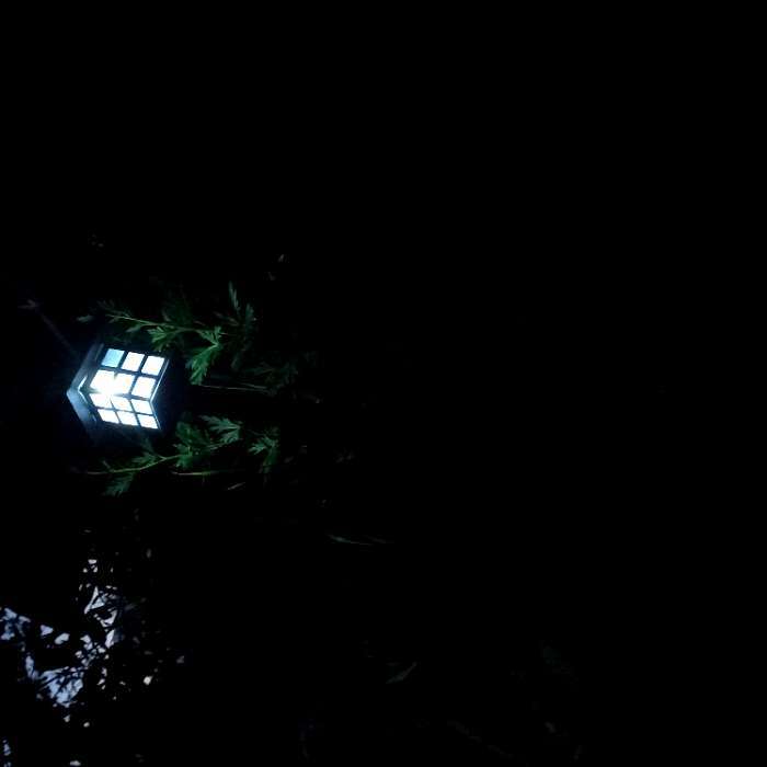 Фотография покупателя товара Садовый фонарь "Лягушата с фонарем" 50см - Фото 2