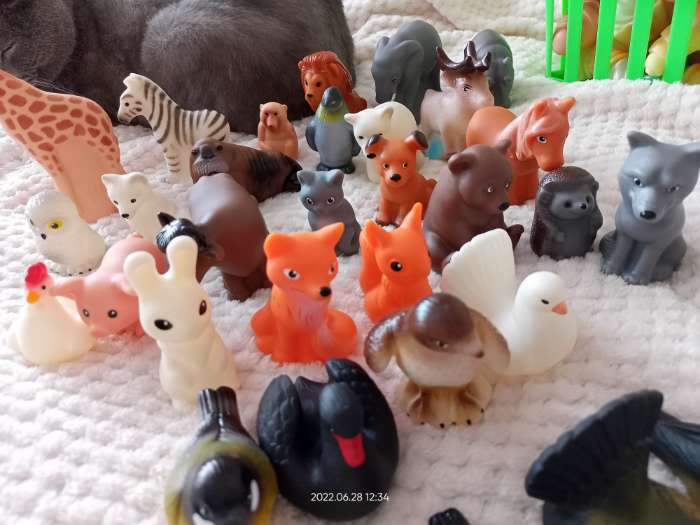 Фотография покупателя товара Набор резиновых игрушек «Животные леса» - Фото 4