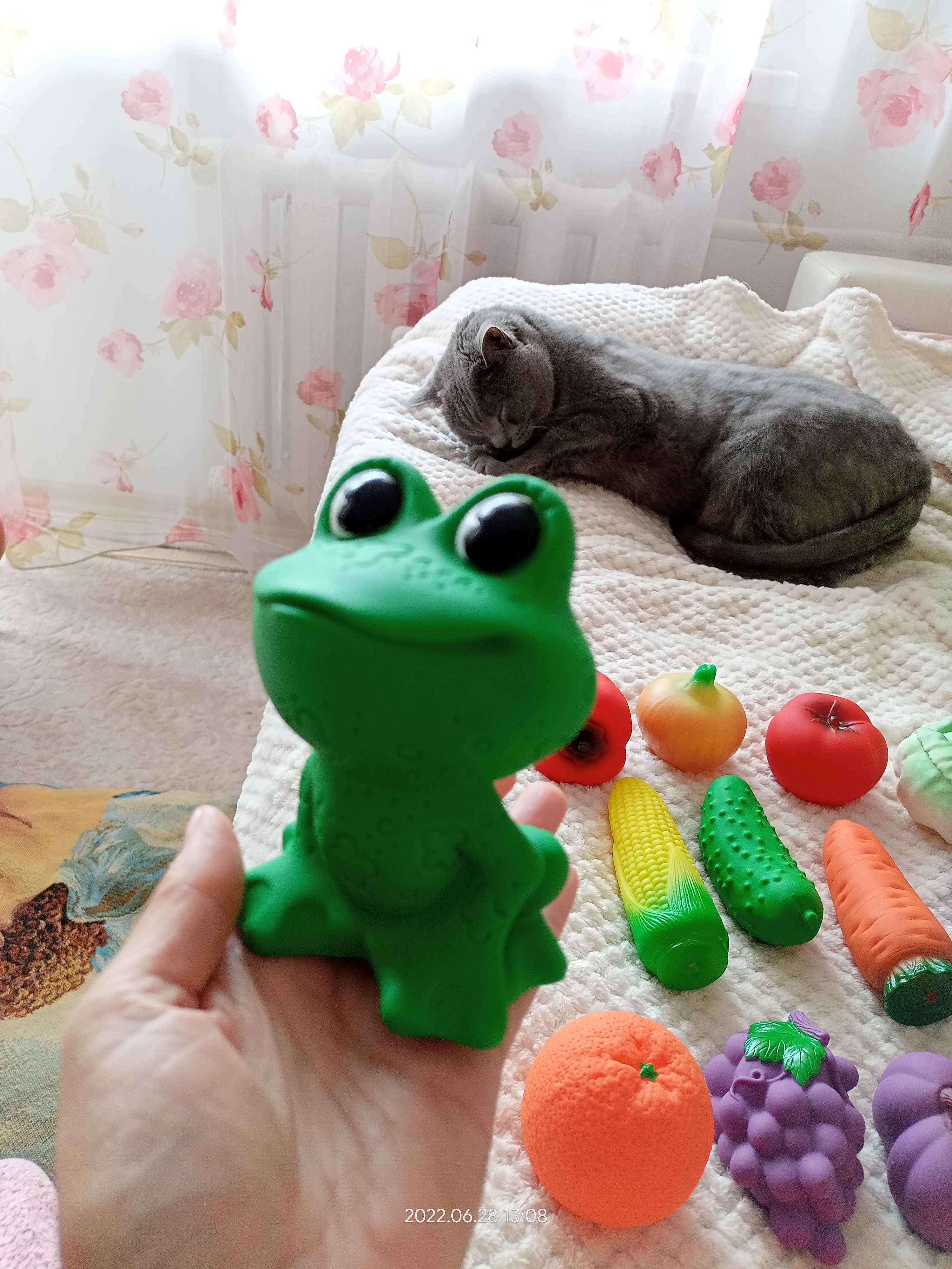 Фотография покупателя товара Резиновая игрушка «Лягушка»