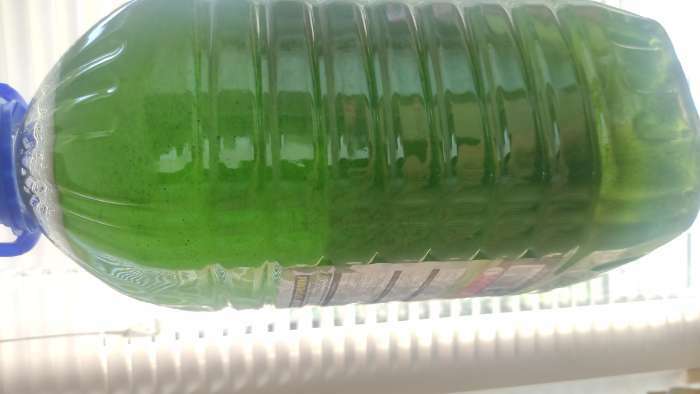 Фотография покупателя товара Суспензия хлореллы биостимулятор БИО-комплекс, 5 л