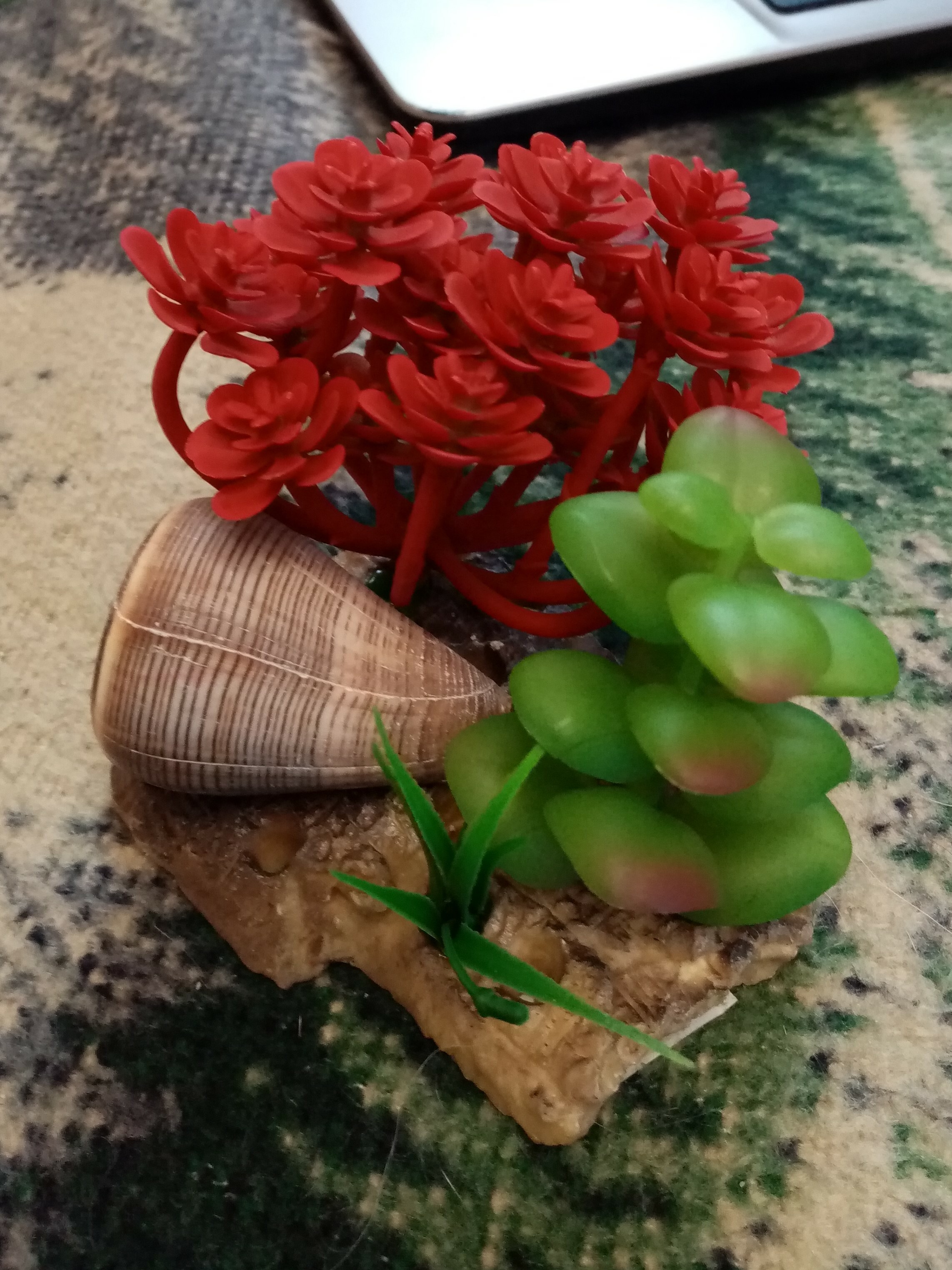 Фотография покупателя товара Островок с ракушками и растениями искусственными для аквариума, 12 х 9 х 9 см - Фото 1