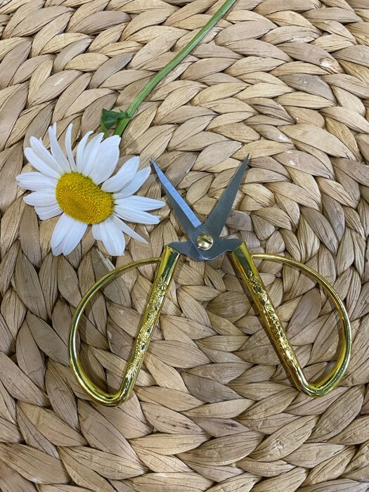 Фотография покупателя товара Ножницы для рукоделия, скошенное лезвие, 3,5", 8,5 см, цвет золотой - Фото 12