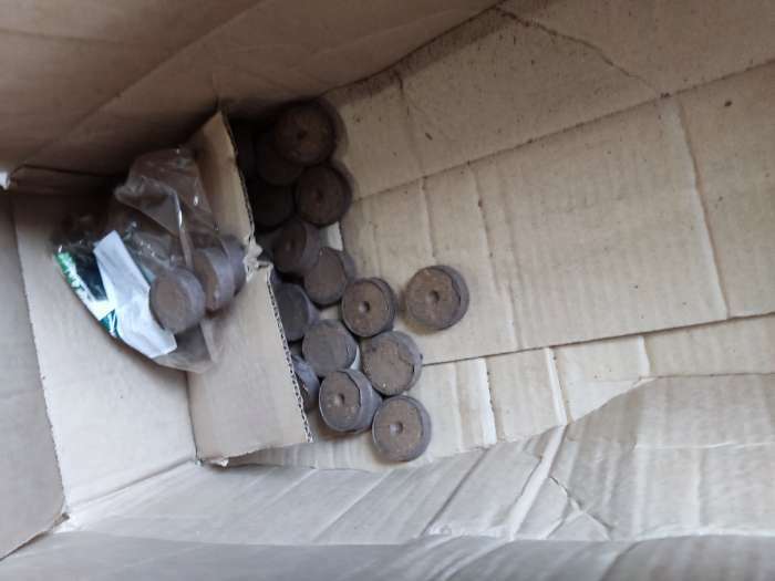 Фотография покупателя товара Таблетки торфяные, d = 4.2 см, с оболочкой, набор 50 шт.