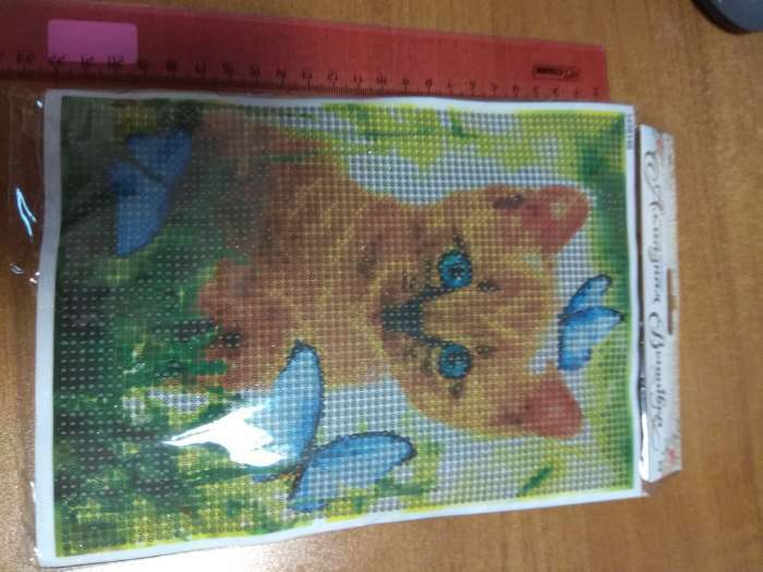 Фотография покупателя товара Алмазная вышивка с полным заполнением «Котёнок с бабочками» 15х21 см, на холсте - Фото 2