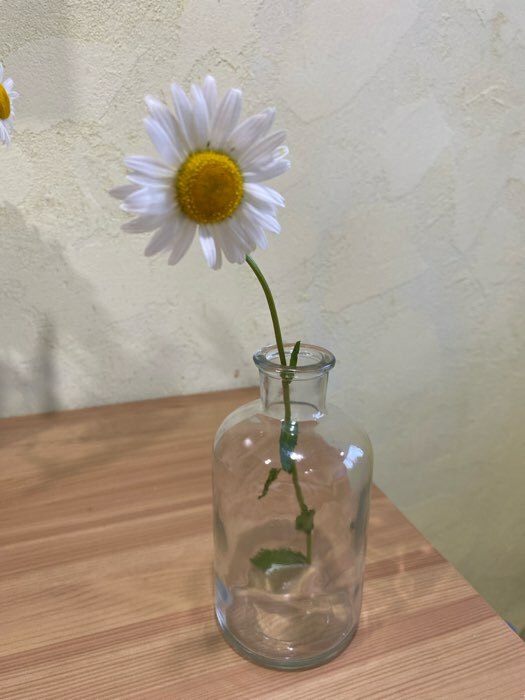 Фотография покупателя товара Бутылка стеклянная для соусов и масла с пробковой крышкой Доляна «Парфе», 750 мл, 8×16,5 см - Фото 4