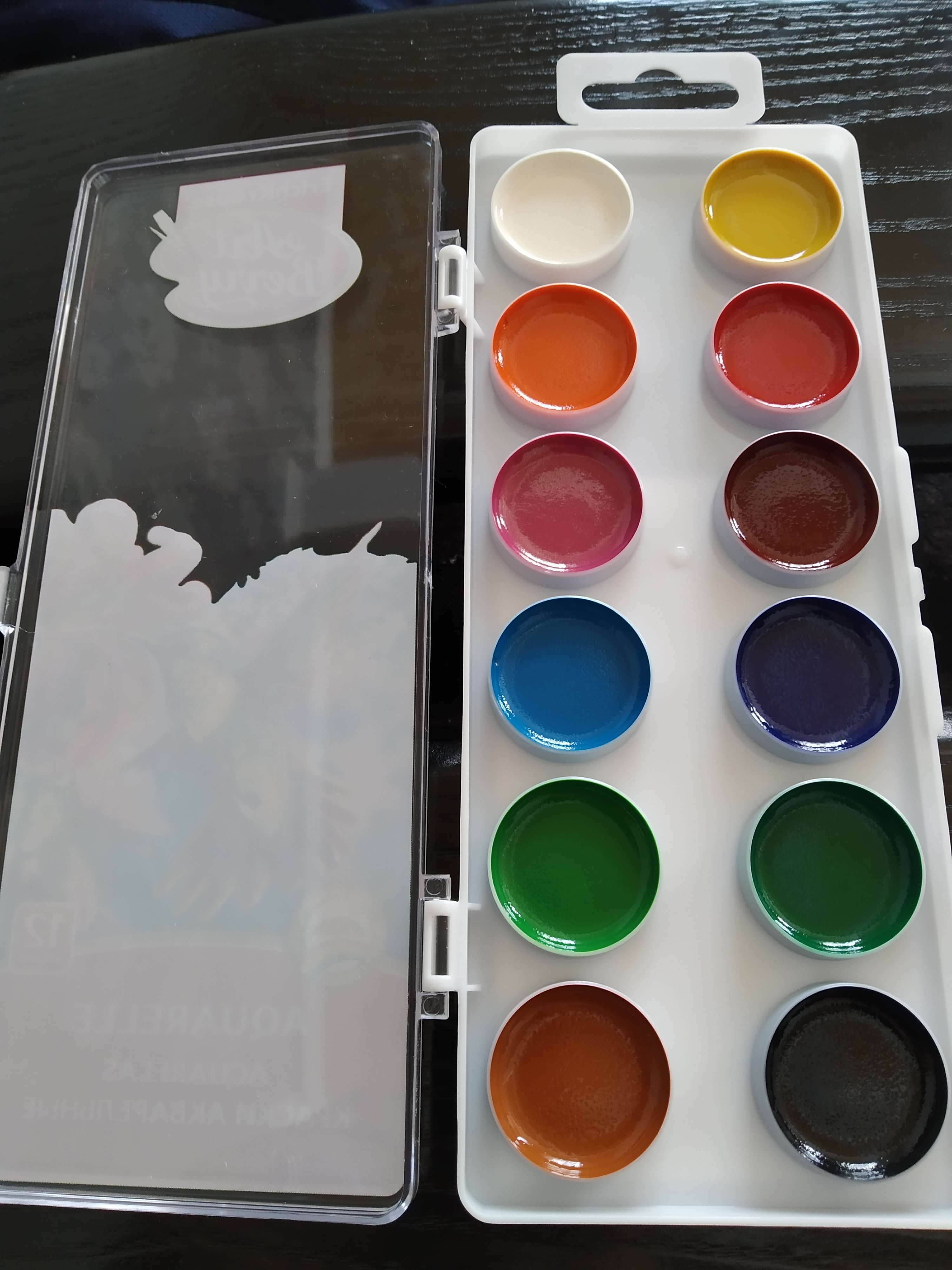 Фотография покупателя товара Акварель 12 цветов ErichKrause ArtBerry, в пластиковой коробке, с УФ-защитой, европодвес, без кисти, МИКС - Фото 10