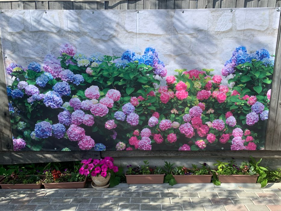 Фотография покупателя товара Фотобаннер, 250 × 150 см, с фотопечатью, люверсы шаг 1 м, «Цветы» - Фото 1
