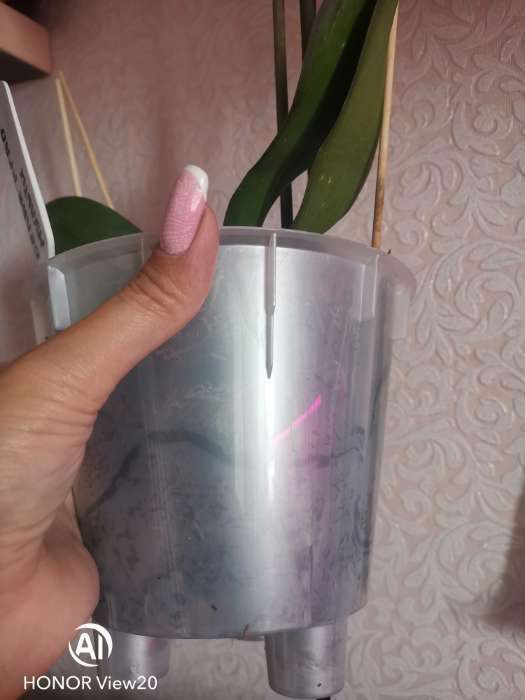 Фотография покупателя товара Кашпо для орхидей «Фиджи», 1,6 л, цвет белый перламутр - Фото 2