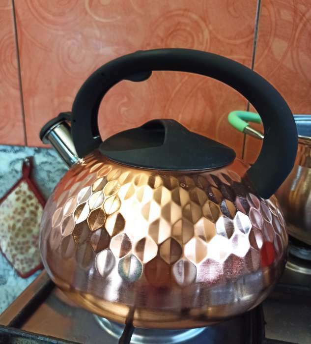 Фотография покупателя товара Чайник со свистком из нержавеющей стали Magistro Glow, 3 л, индукция, ручка soft-touch, цвет бронзовый - Фото 2