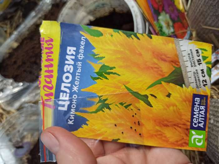 Фотография покупателя товара Семена цветов Целозия "Кимоно", желтый факел, перистая, Сем. Алт, ц/п, 10 шт - Фото 2