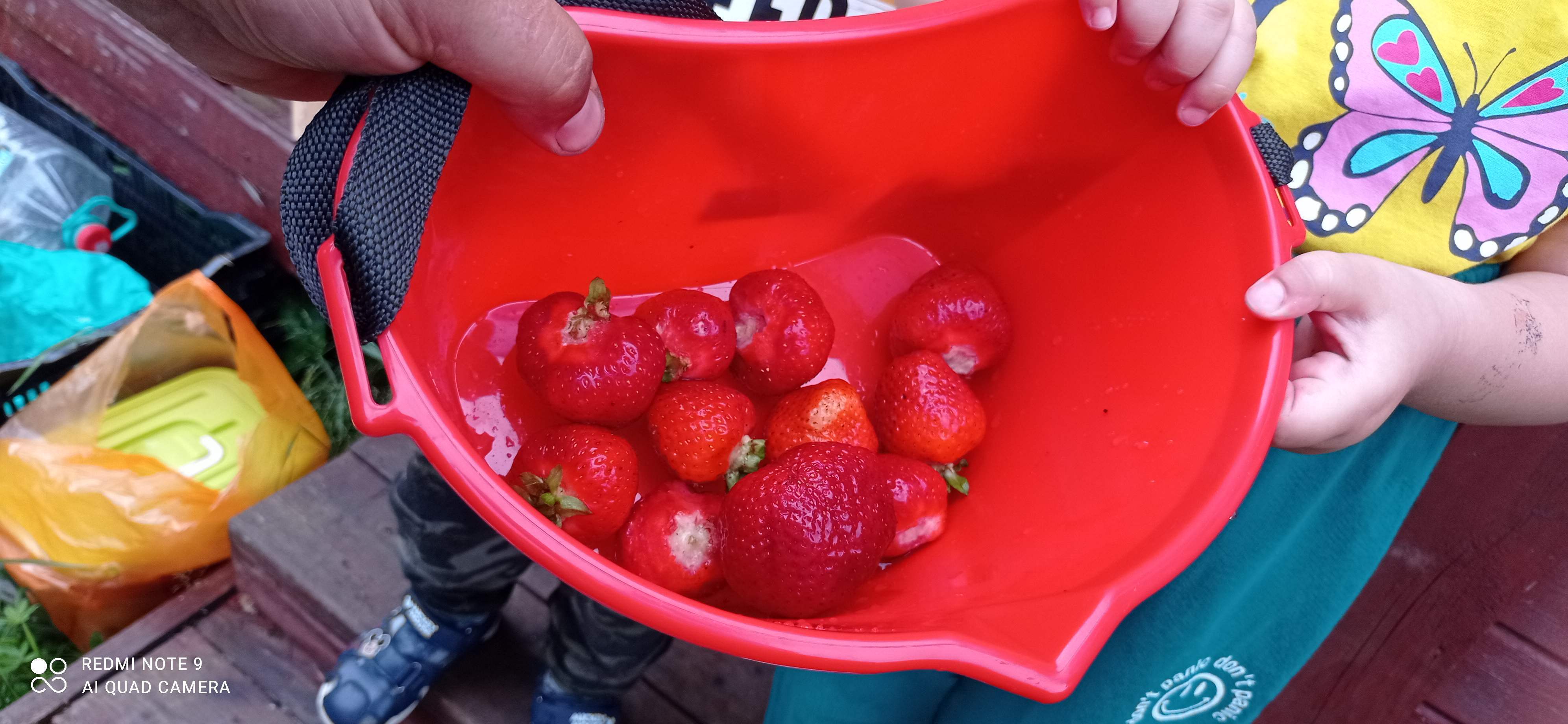 Фотография покупателя товара Ёмкость для сбора ягод, 3 л, «Корзина», красная - Фото 3