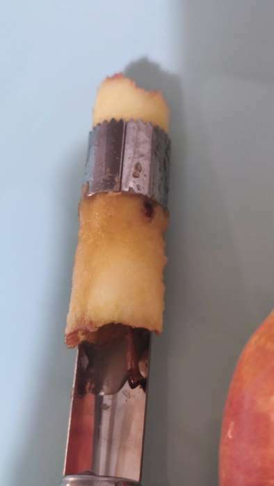 Фотография покупателя товара Нож для сердцевины Доляна «Металлик», 21 см, цвет серебряный - Фото 3