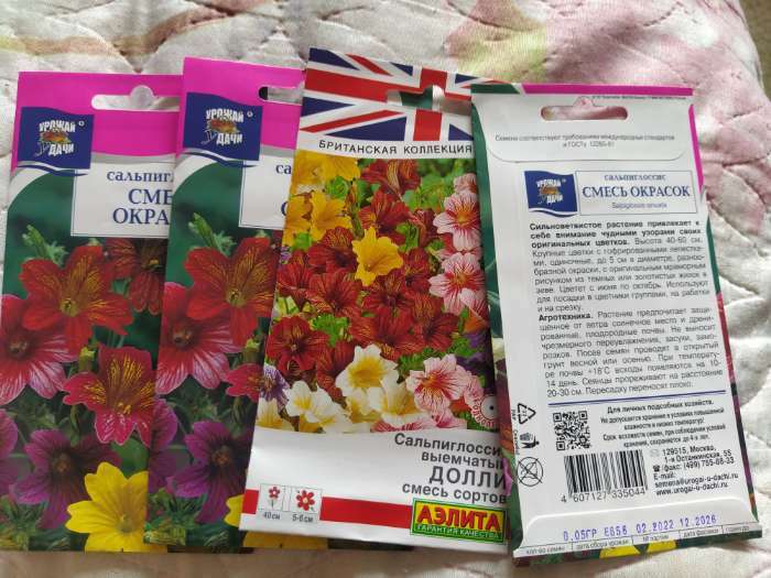 Фотография покупателя товара Семена цветов Сальпиглоссис "Смесь", 0,1 г - Фото 2