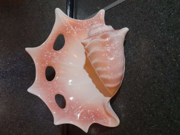 Фотография покупателя товара Ваза керамическая "Горизонтальная ракушка", настольная, розовая, 18 см