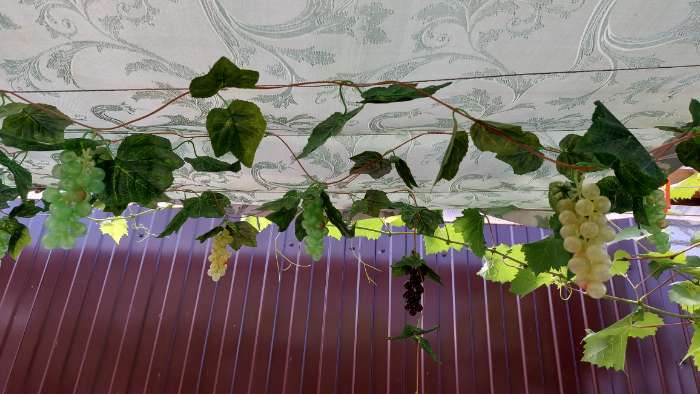 Фотография покупателя товара Муляж "Виноград" глянец, 22 ягоды 12 см, микс - Фото 5