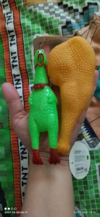 Фотография покупателя товара Игрушка пищащая "Задумчивая курица" малая для собак, 16,5 см, ярко-зелёная