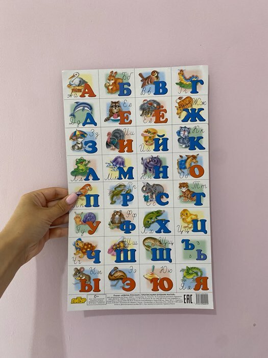 Фотография покупателя товара Плакат «Азбука русская с прописными буквами», малый формат - Фото 2