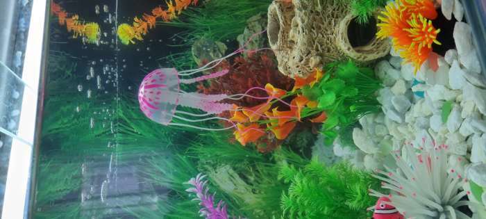 Фотография покупателя товара Декор для аквариума "Медуза" силиконовая, флуоресцентная, 5 х 5 х 15 см, розовая - Фото 2