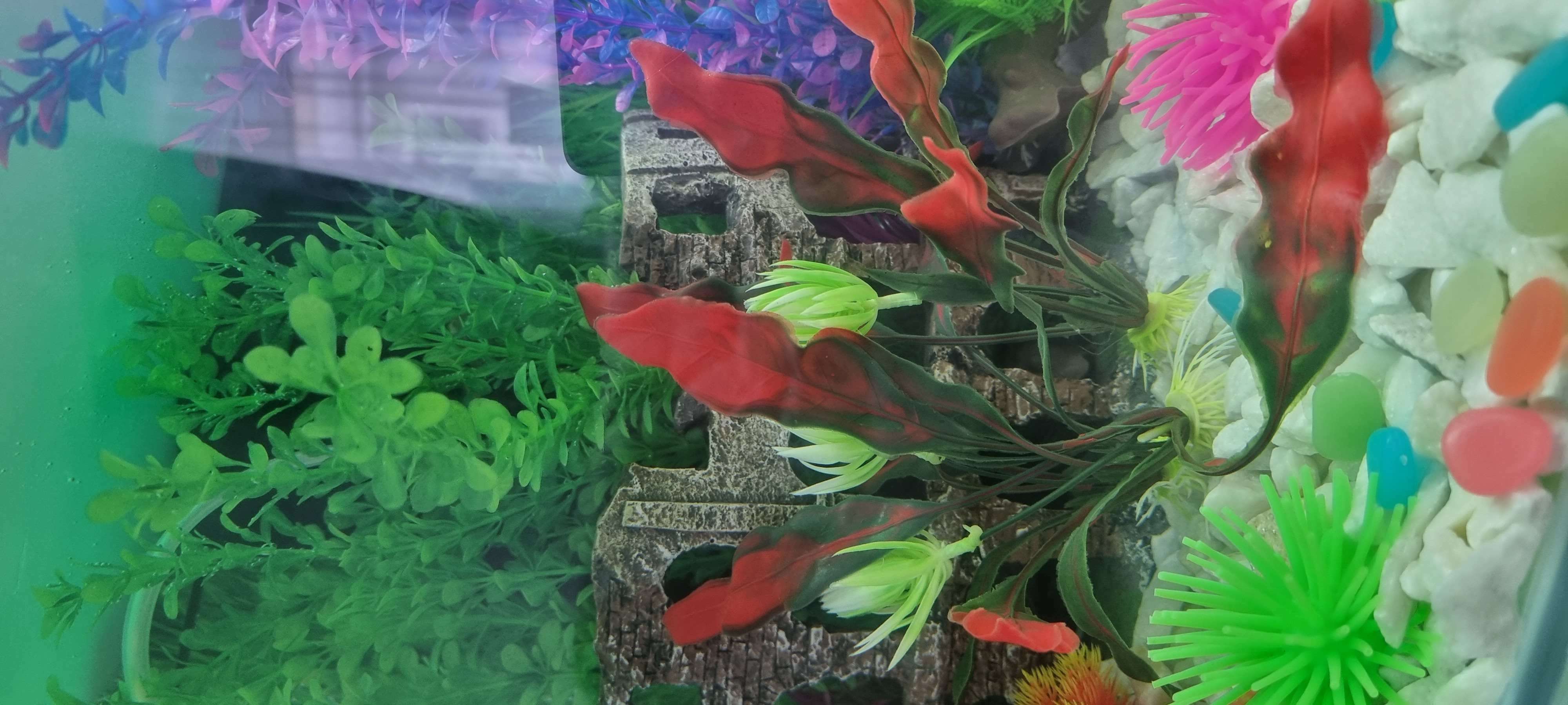 Фотография покупателя товара Набор растений искусственных для аквариума (2 шт), 20 см - Фото 2