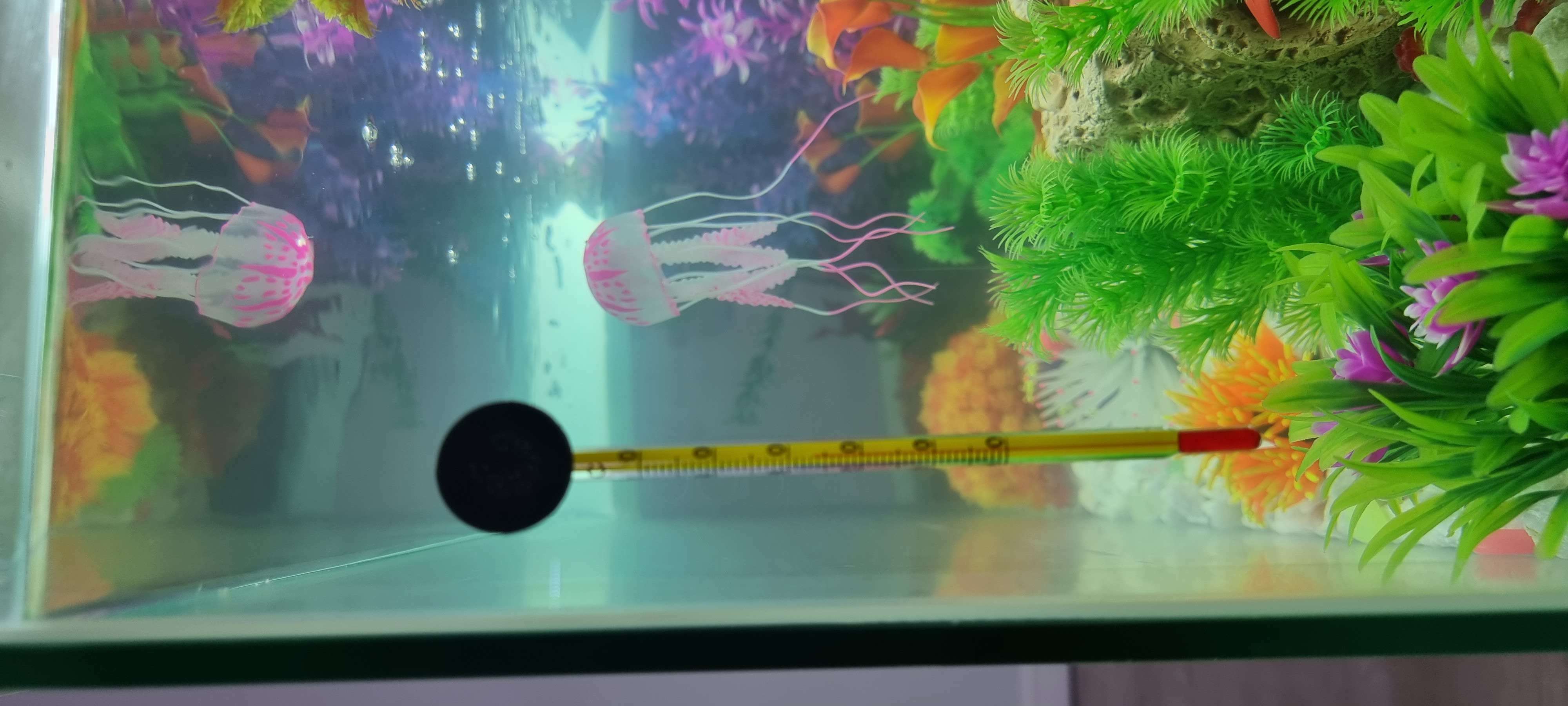 Фотография покупателя товара Термометр, градусник для воды, для аквариума, от 0 до +50°С, 15 см - Фото 8