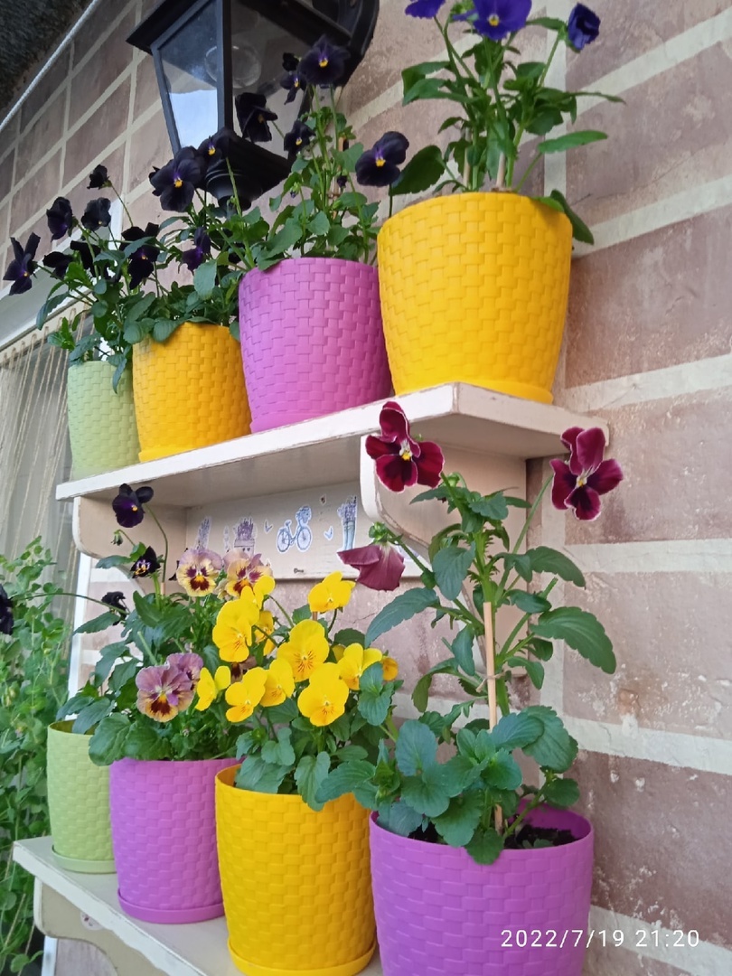 Фотография покупателя товара Горшок для цветов с поддоном «Ротанг», 1,2 л, цвет оливковый - Фото 7