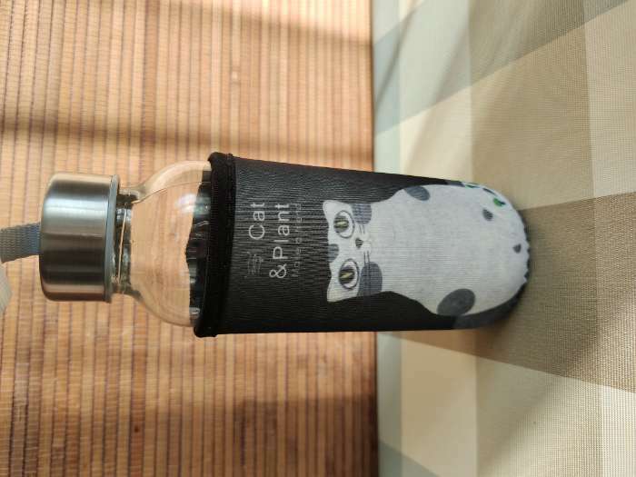 Фотография покупателя товара Бутылка для воды стеклянная в чехле «Хитрый котик», 300 мл, h=17 см, рисунок МИКС - Фото 1