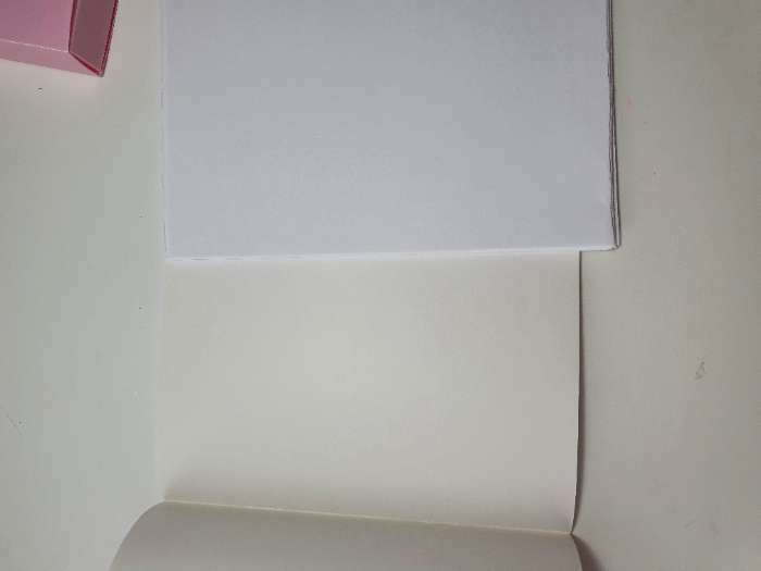 Фотография покупателя товара Альбом для рисования 40 листов А4 на скрепке «1 сентября: Круглые котики» обложка 160 г/м2, бумага 100 г/м2.